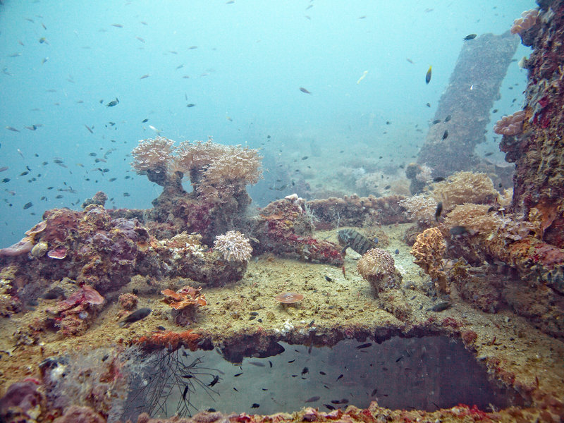 Wreck, Japanese Patrolboat